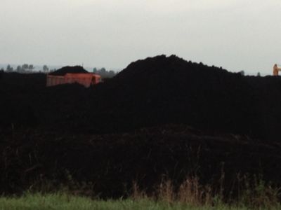 Торф низинный